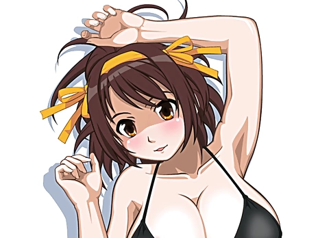 Haruhi Suzumiya manga porn F00 – Light Novels